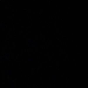 Meet your Posher, Hayley